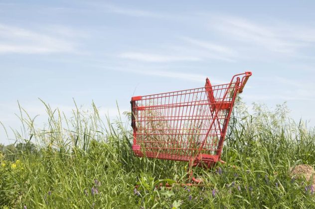 shopping cart field