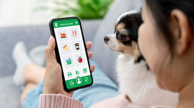 grocery store online dog shopping