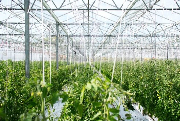 sustainability