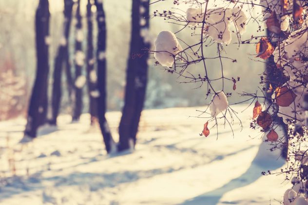 winter