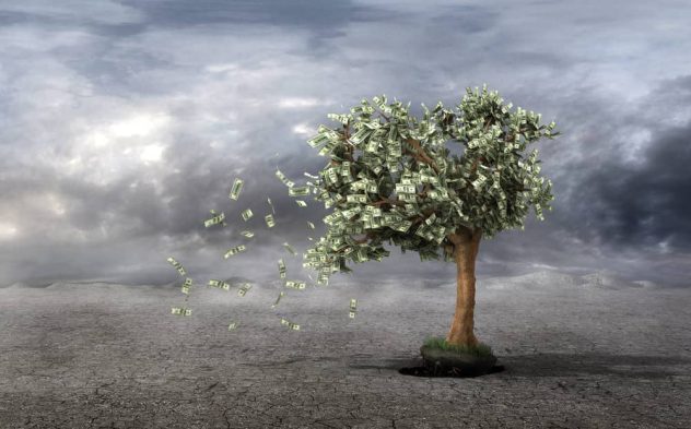 money tree