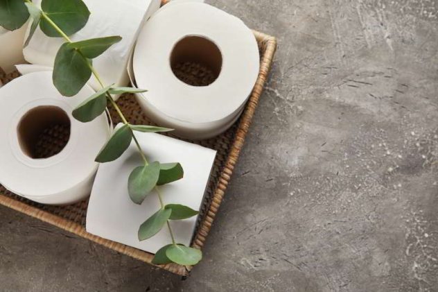 toilet paper