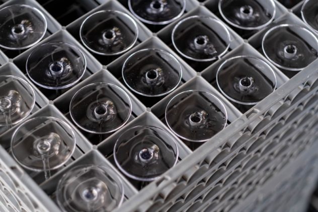Dishwasher Racks